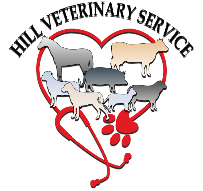 hill veterinary logo